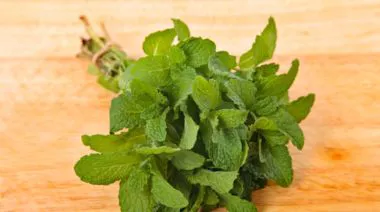 garnishing-instructions-image